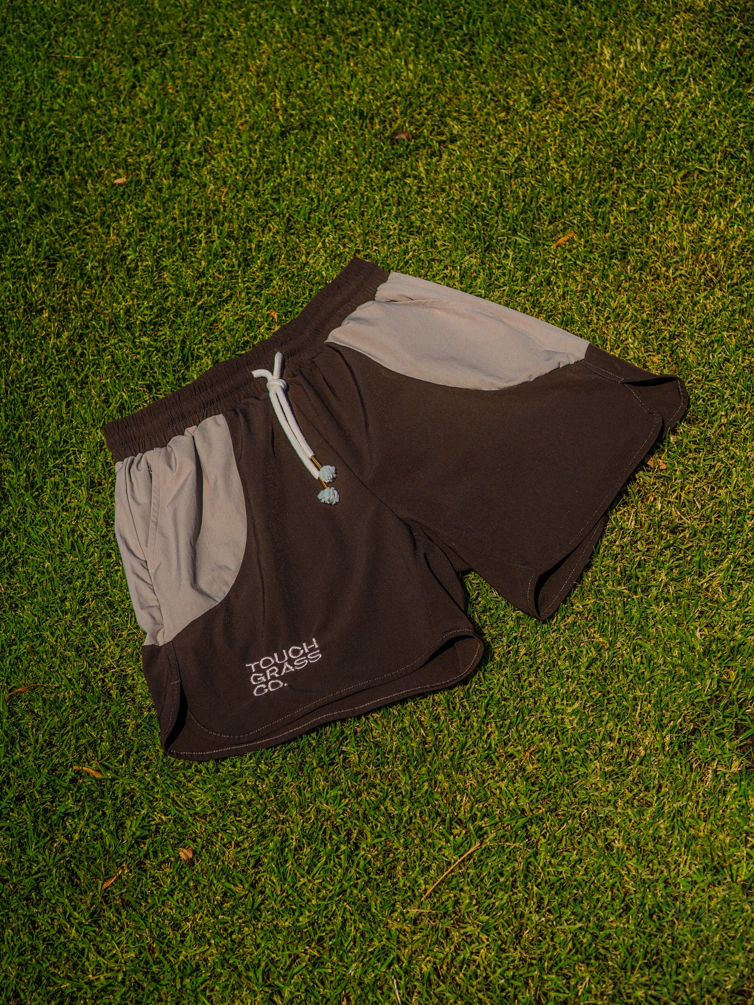Field Day Shorts
