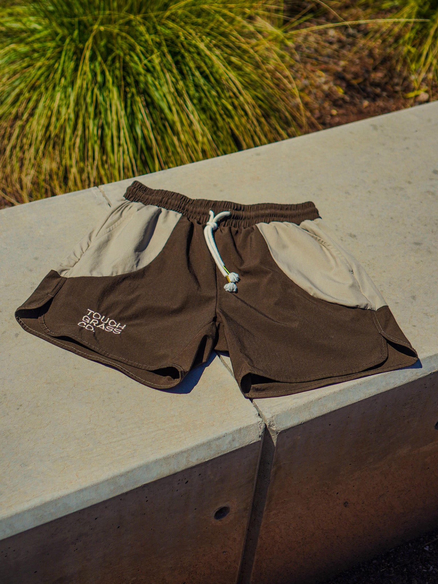 Field Day Shorts